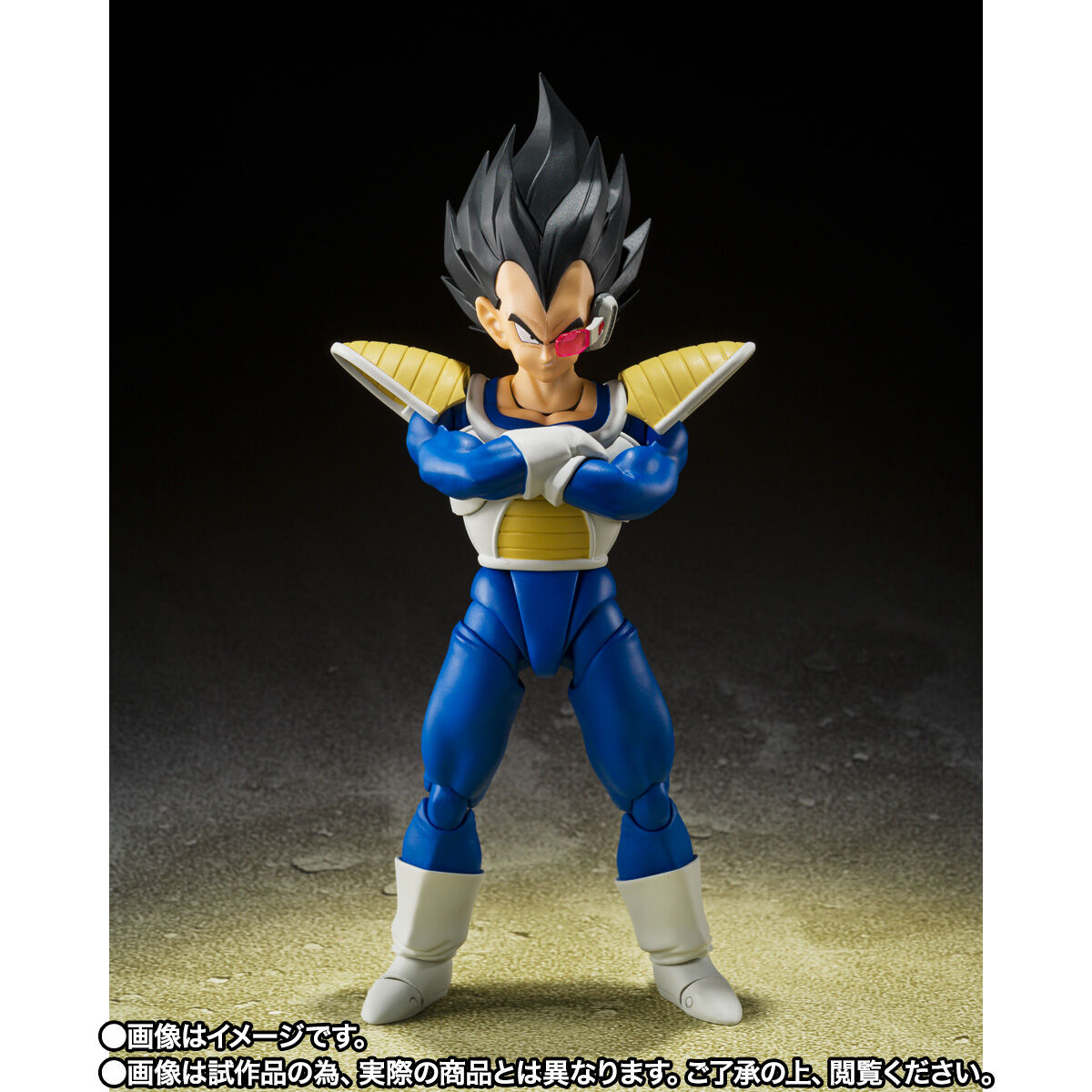 SH Figuarts Vegeta - 24,000 Power Level