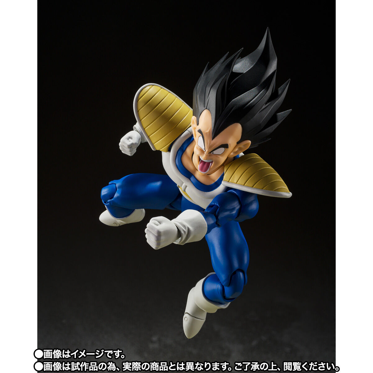 SH Figuarts Vegeta - 24,000 Power Level