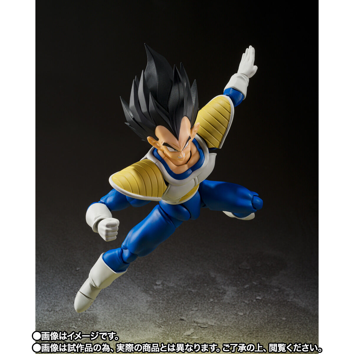 SH Figuarts Vegeta - 24,000 Power Level