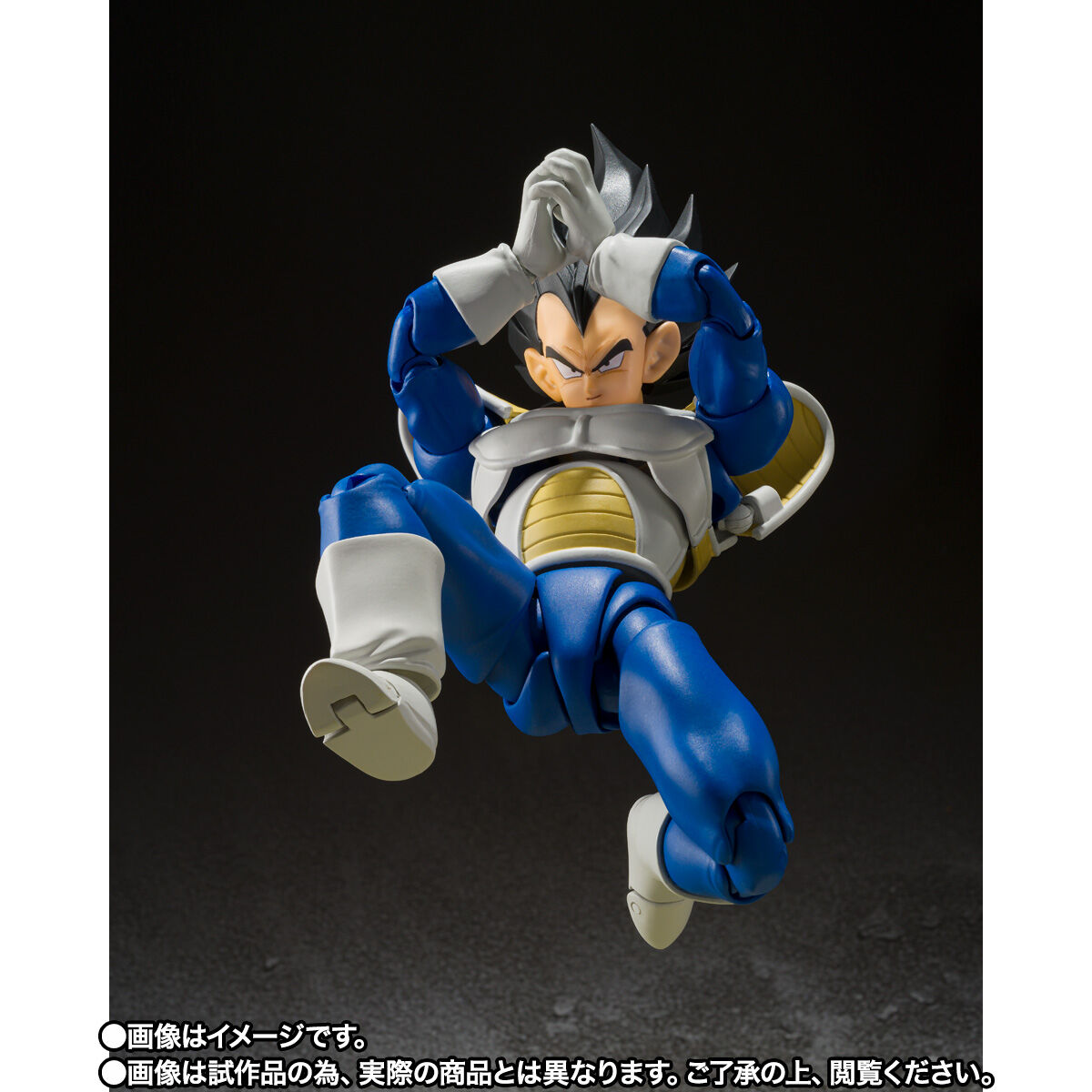 SH Figuarts Vegeta - 24,000 Power Level