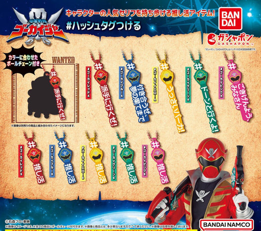 #Hashtag Kaizoku Sentai Gokaiger Charms