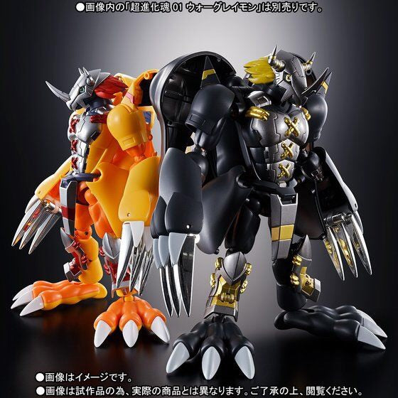 Digivolving Spirits 08 Black WarGreymon