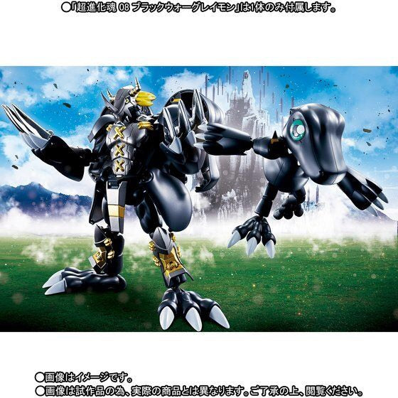 Digivolving Spirits 08 Black WarGreymon